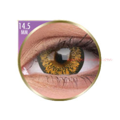 Phantasee ®Big Eyes Baby Brown Color Lenses