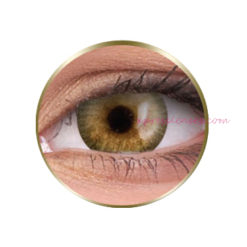 Phantasee® Natural Golden Brown Color Lenses